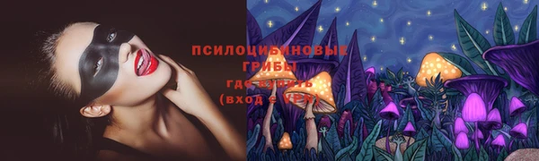 прущая мука Вязьма
