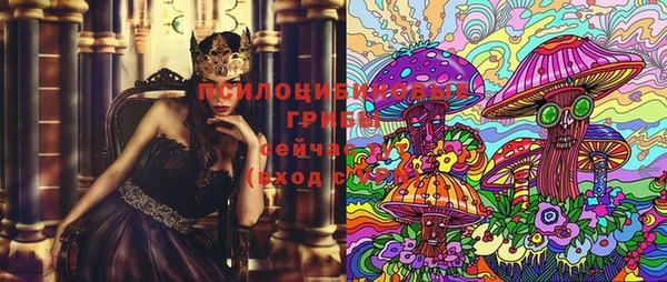 прущая мука Вязьма